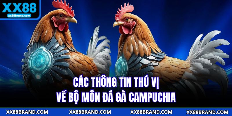 Các thông tin thú vị về bộ môn đá gà Campuchia